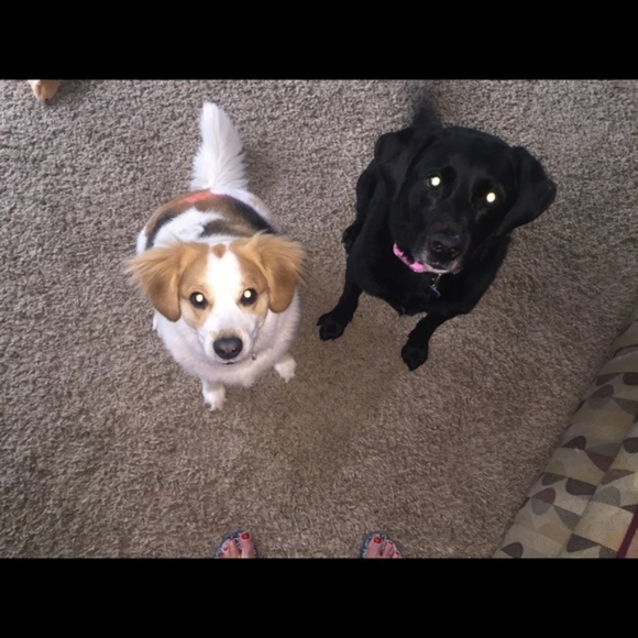 Meet your Posher - Picture 5 of 5